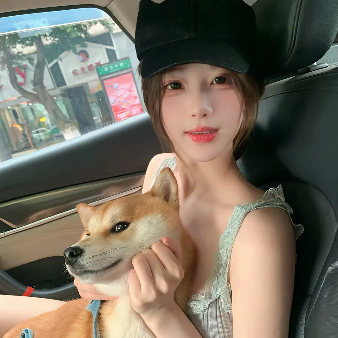 职业大贼