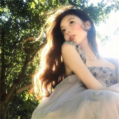 安德鲁和威利的冒险